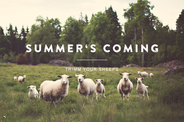 summer‘s coming trimm your sheeps